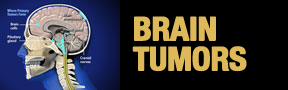 Brain-Tumors-button