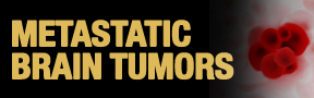 Metastatic-Brain-Tumors